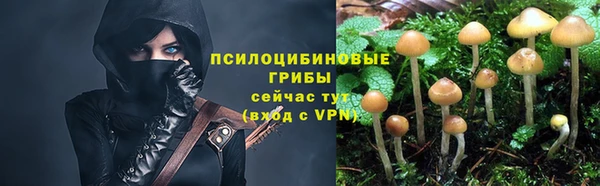 мет Алзамай