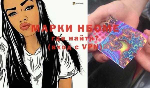 гашик Новозыбков