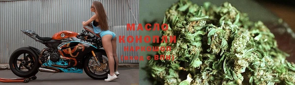 гашик Новозыбков
